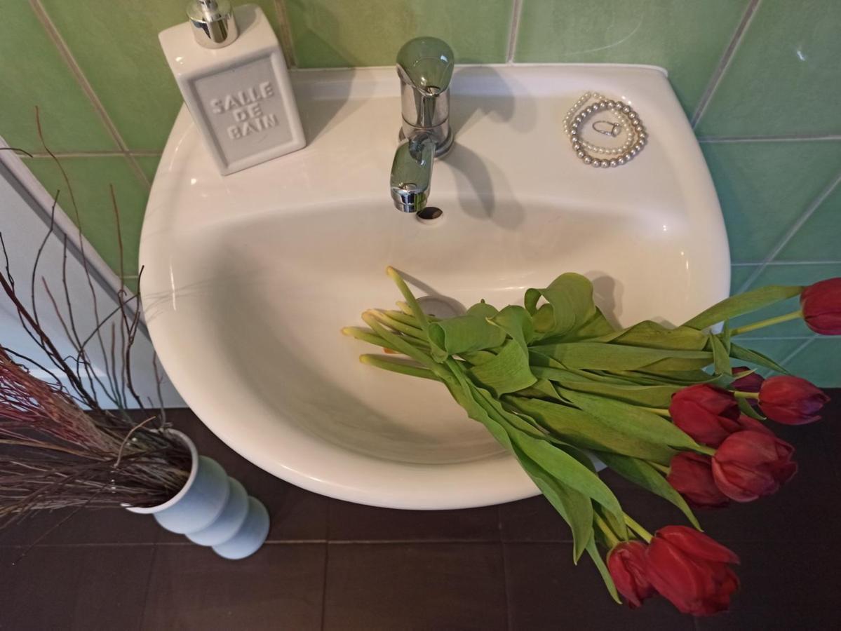 Apartmany Ziakova - Ubytovani Nove Hrady 111 Luaran gambar