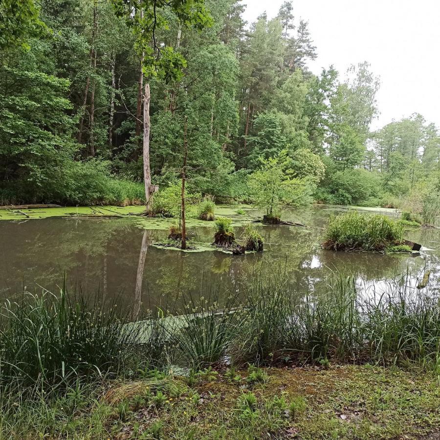 Apartmany Ziakova - Ubytovani Nove Hrady 111 Luaran gambar