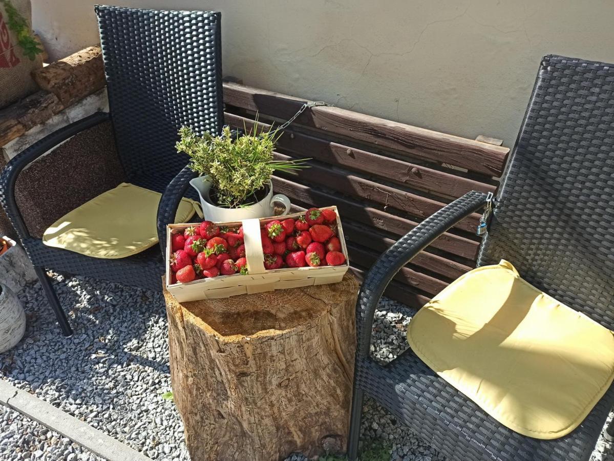 Apartmany Ziakova - Ubytovani Nove Hrady 111 Luaran gambar