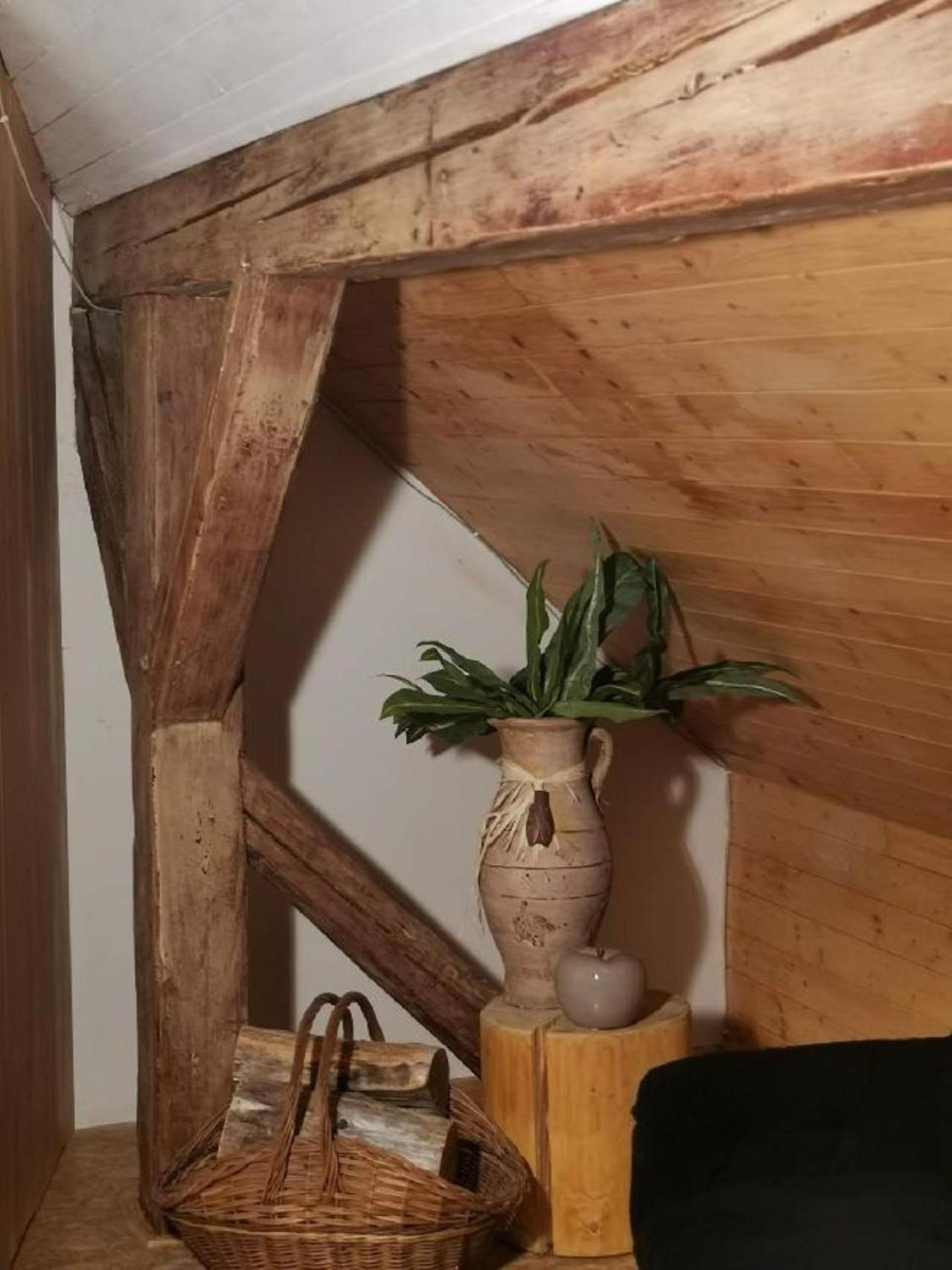 Apartmany Ziakova - Ubytovani Nove Hrady 111 Luaran gambar