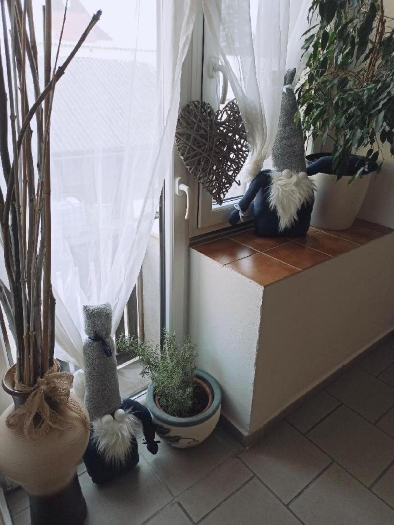 Apartmany Ziakova - Ubytovani Nove Hrady 111 Luaran gambar